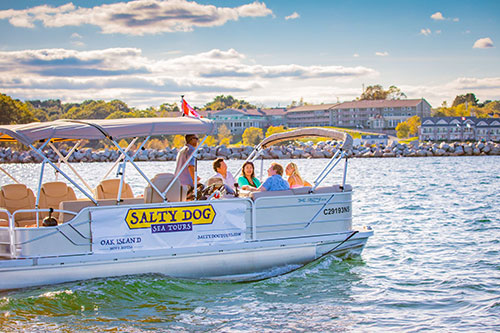 salty dog tours